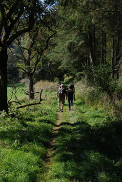 Wanderweg Waxweiler Wanderweg Waxweiler