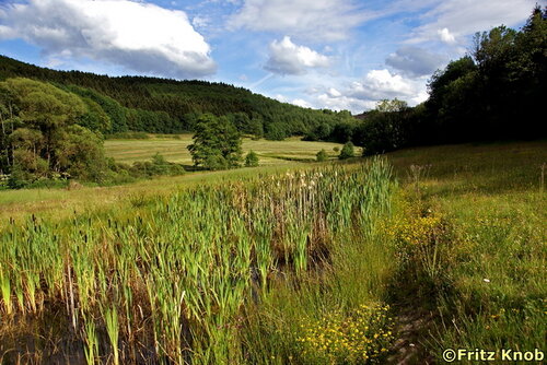 Prümtal Waxweiler Prümtal Waxweiler