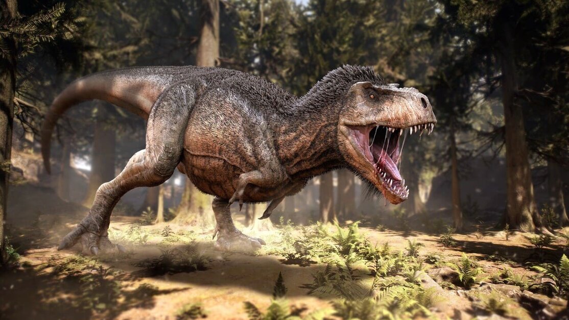 Tyrannosaurus-rex Tyrannosaurus-rex